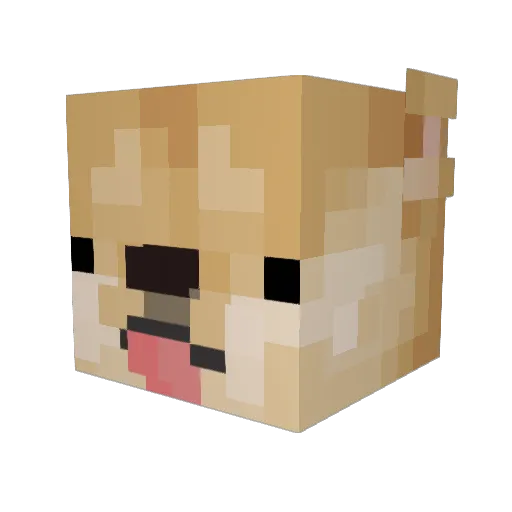smoopdog12 Minecraft avatar head, 3D render