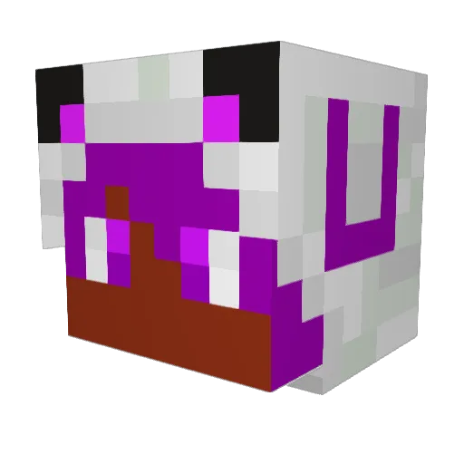 smoothzfresh Minecraft avatar head, 3D render