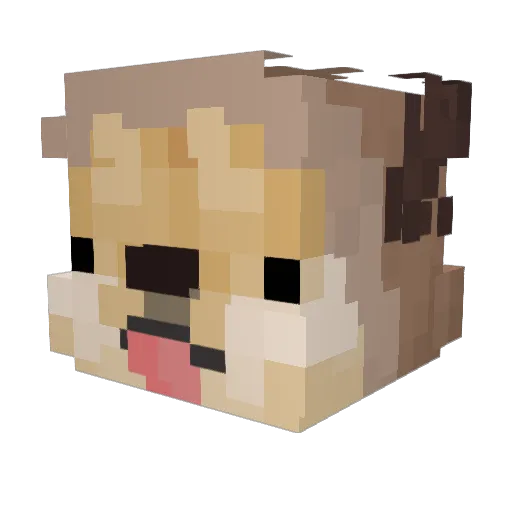 smore_08 Minecraft avatar head, 3D render