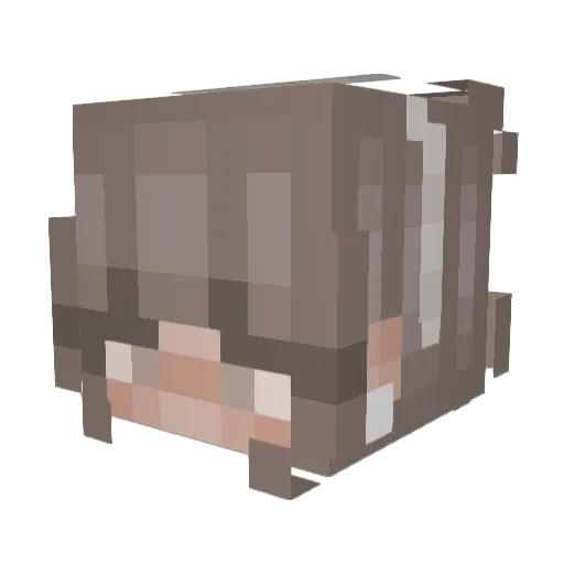 smores15 Minecraft avatar head, 3D render