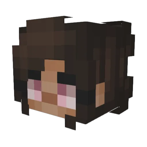 smoreyx Minecraft avatar head, 3D render