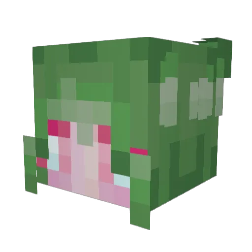 smotherbug Minecraft avatar head, 3D render