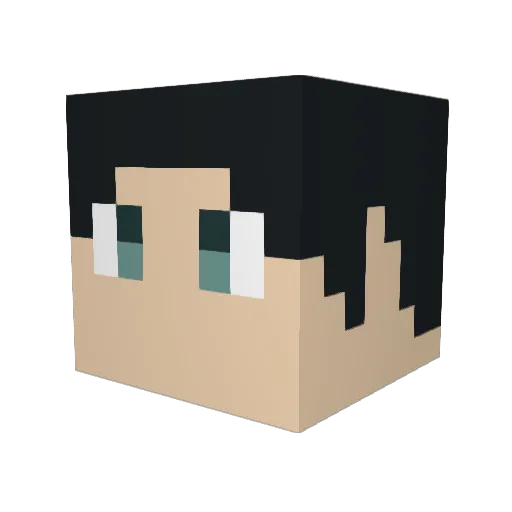 sms3e456tgh Minecraft avatar head, 3D render