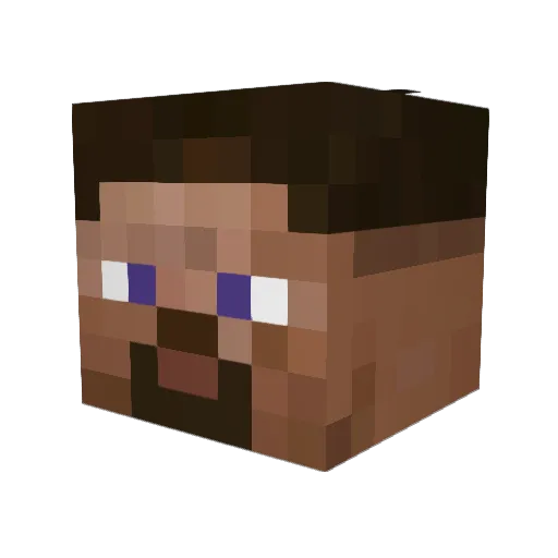 sms_1 Minecraft avatar head, 3D render
