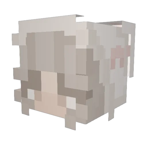 smxrtin Minecraft avatar head, 3D render