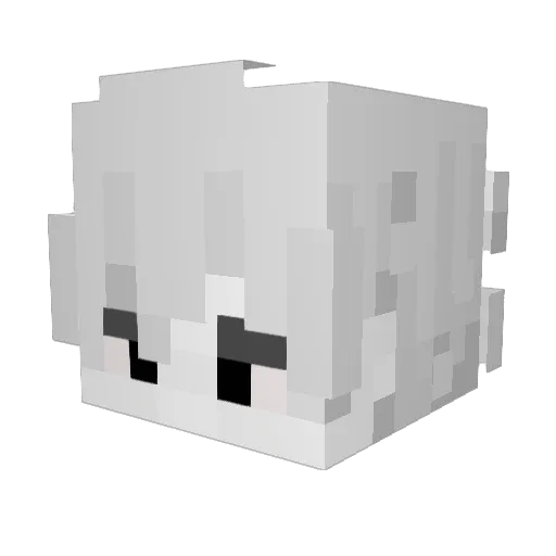 sn00z33 Minecraft avatar head, 3D render