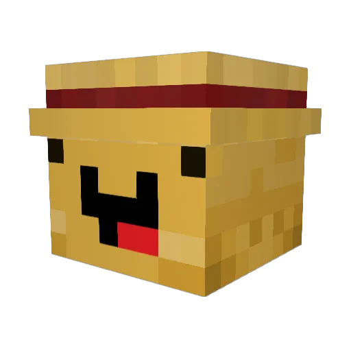 sn0o0 Minecraft avatar head, 3D render