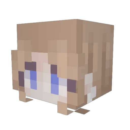 sn0wfalling Minecraft avatar head, 3D render