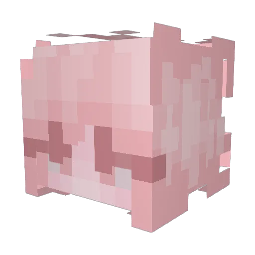 sn0wiscold Minecraft avatar head, 3D render