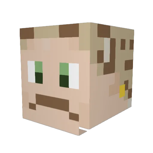 sn0wr0ach Minecraft avatar head, 3D render