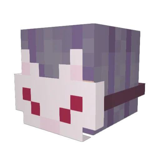 sn0wsunny Minecraft avatar head, 3D render