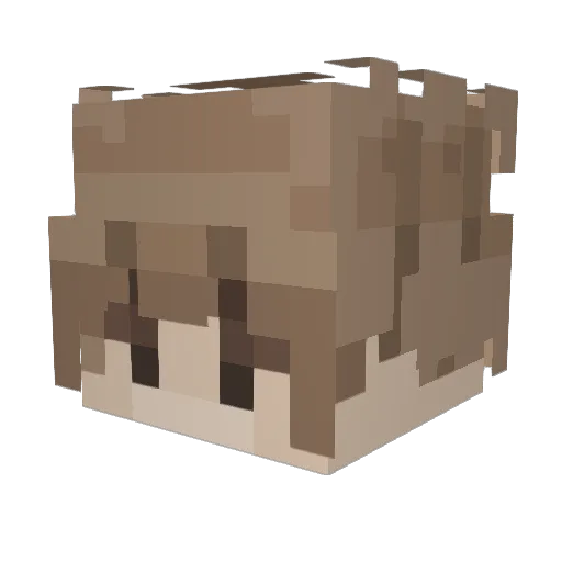 sn1pecc Minecraft avatar head, 3D render