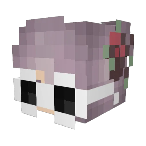 sn6 Minecraft avatar head, 3D render