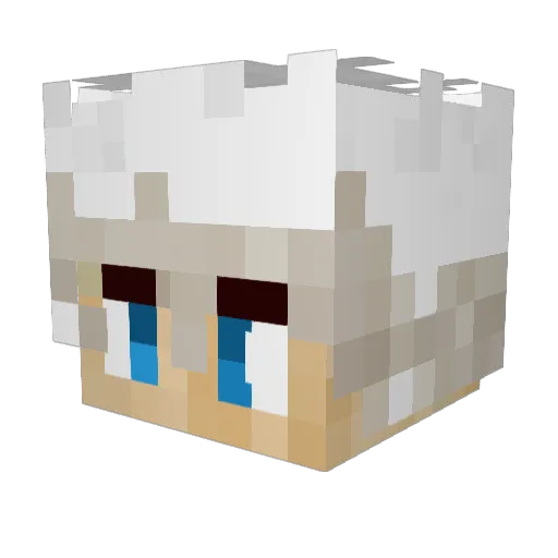 snack13 Minecraft avatar head, 3D render