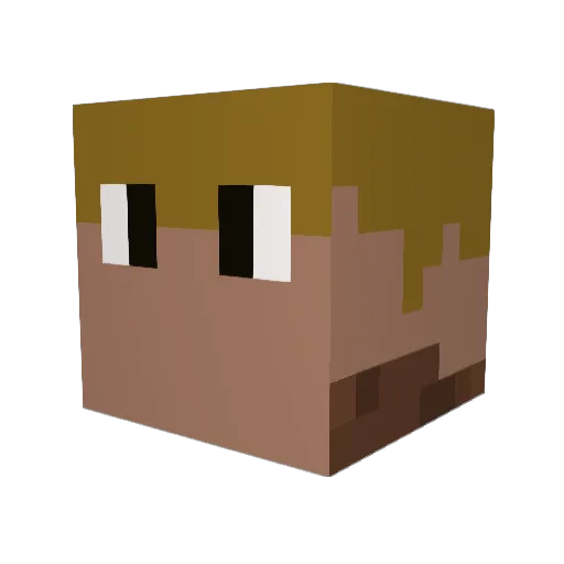 snacki11 Minecraft avatar head, 3D render