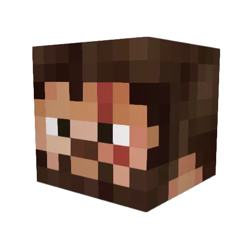 snacks4doggo Minecraft avatar head, 3D render