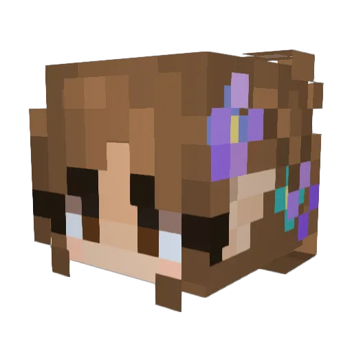 snacks90 Minecraft avatar head, 3D render