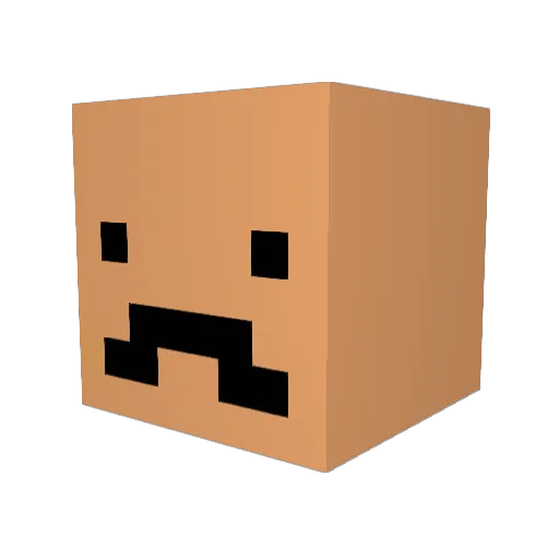 snadderbob Minecraft avatar head, 3D render