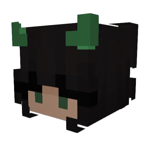 snaillll Minecraft avatar head, 3D render