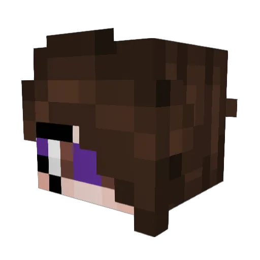 snailmail47 Minecraft avatar head, 3D render