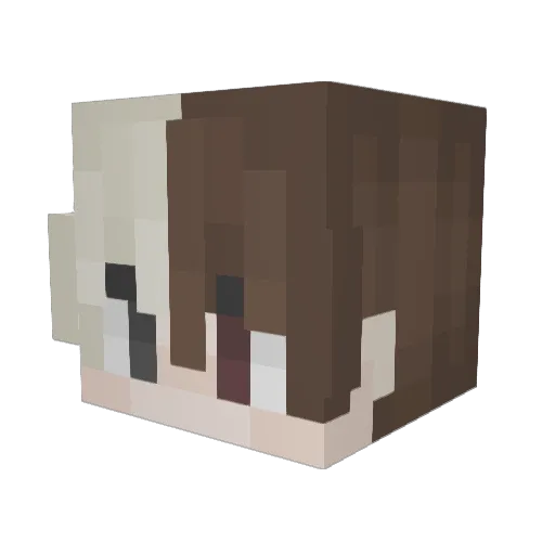 snailnetwork Minecraft avatar head, 3D render