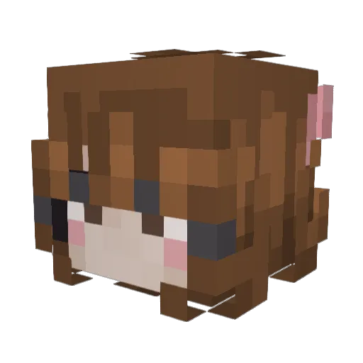 snailzz3514 Minecraft avatar head, 3D render