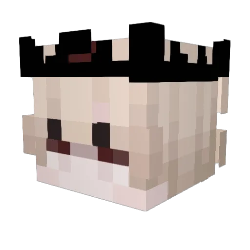 snajper_adas Minecraft avatar head, 3D render