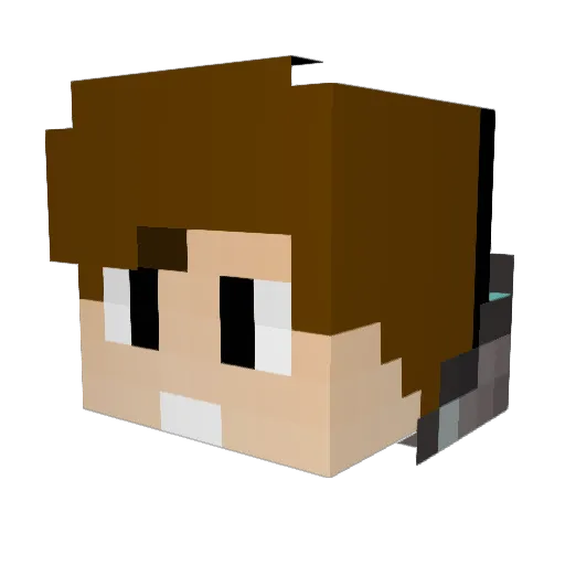 snakebit29 Minecraft avatar head, 3D render