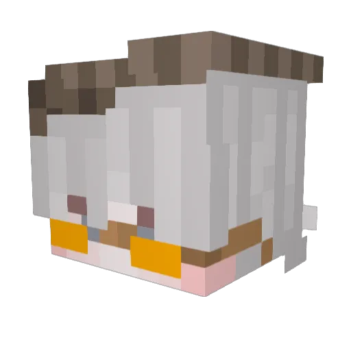 snakki_ Minecraft avatar head, 3D render