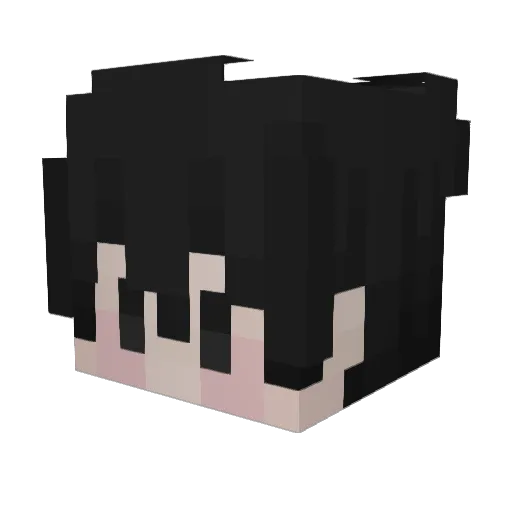 snappleys Minecraft avatar head, 3D render