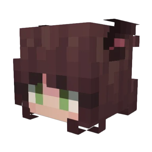snapplin Minecraft avatar head, 3D render