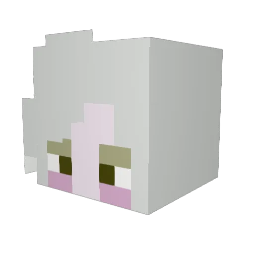 snappy434 Minecraft avatar head, 3D render