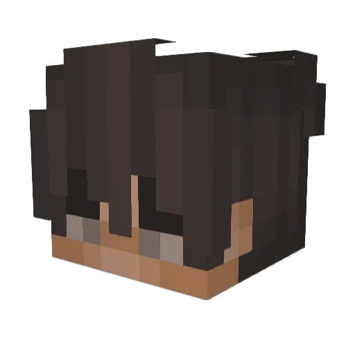 snarkyy_2 Minecraft avatar head, 3D render