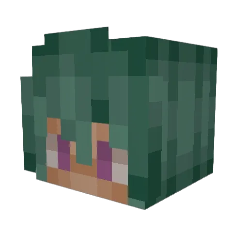 snboomstick Minecraft avatar head, 3D render