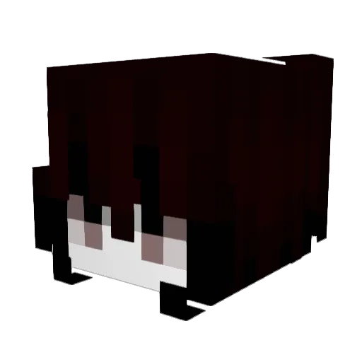 sncc Minecraft avatar head, 3D render