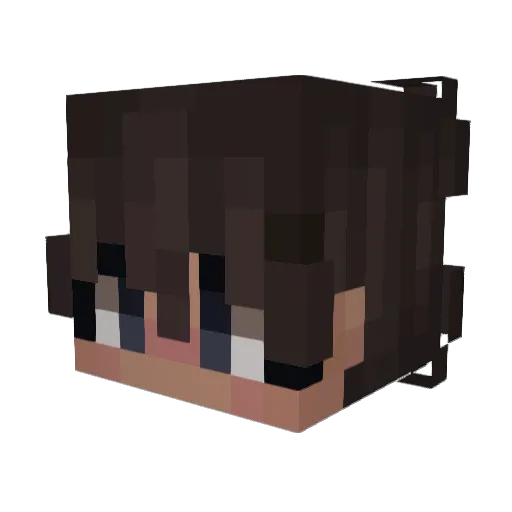 sncww Minecraft avatar head, 3D render