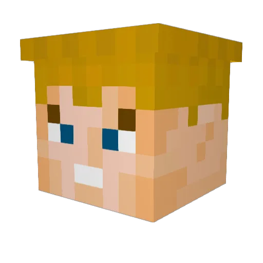 sneakerbot Minecraft avatar head, 3D render