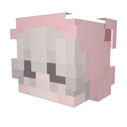 sneaky0301 Minecraft avatar head, 3D render