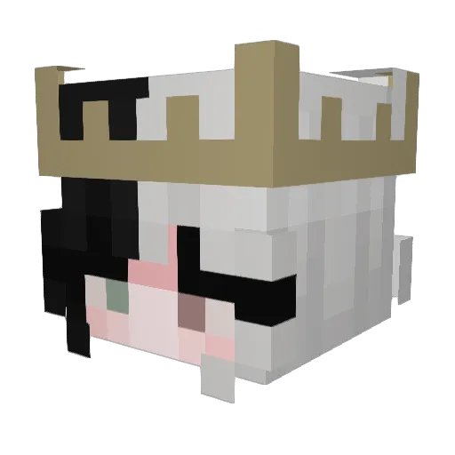 sneakybeetle Minecraft avatar head, 3D render