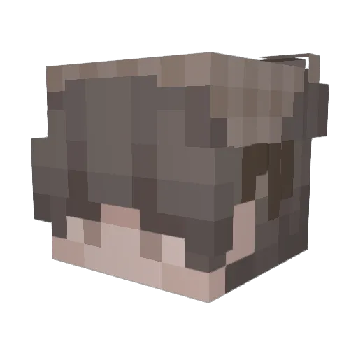 sneakylinkkk Minecraft avatar head, 3D render