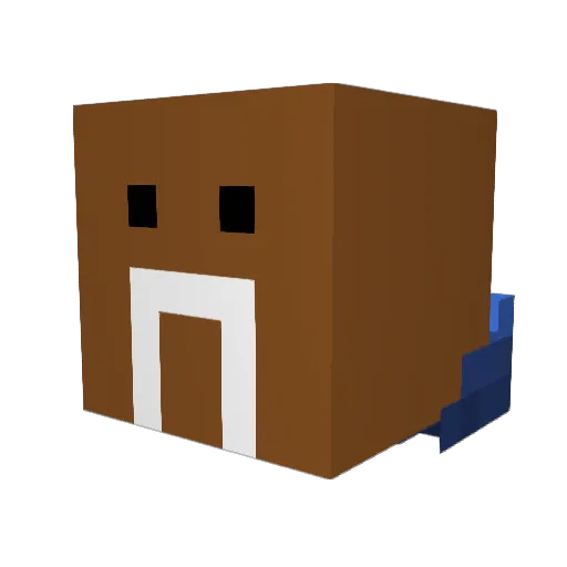sneakytiger205 Minecraft avatar head, 3D render