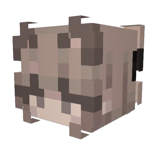 sneakyturtle777 Minecraft avatar head, 3D render