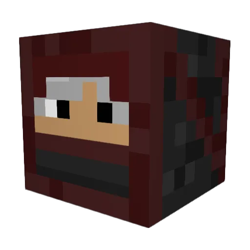 sneeky_walrus Minecraft avatar head, 3D render