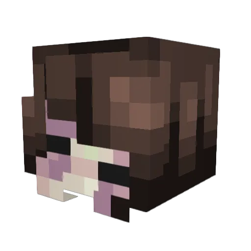 sneerful1 Minecraft avatar head, 3D render