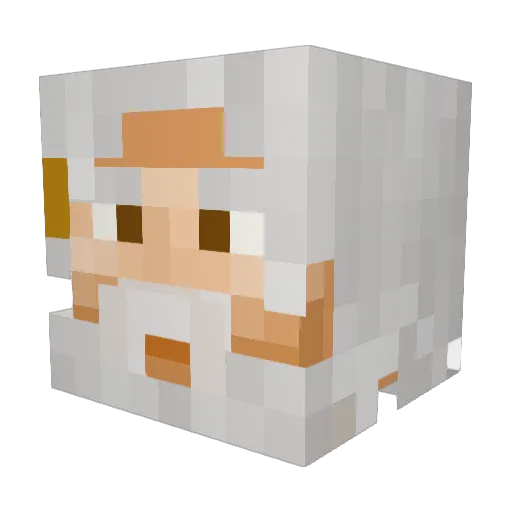sneeuwman11 Minecraft avatar head, 3D render