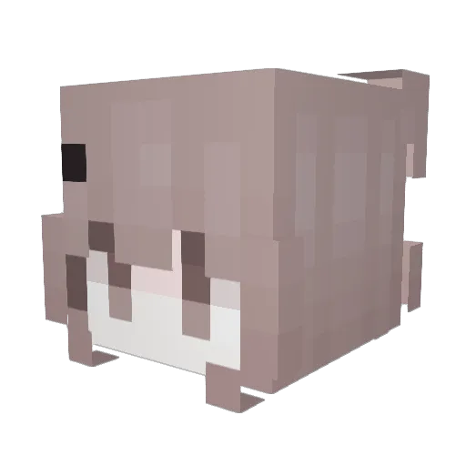 sneezygrl Minecraft avatar head, 3D render