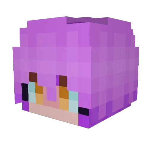snek42069 Minecraft avatar head, 3D render