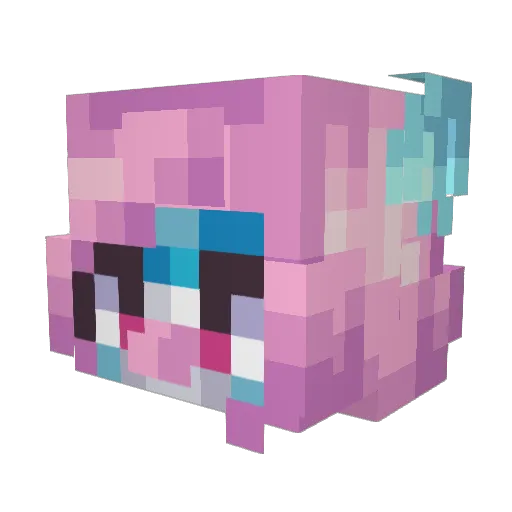 snekerdoodles Minecraft avatar head, 3D render