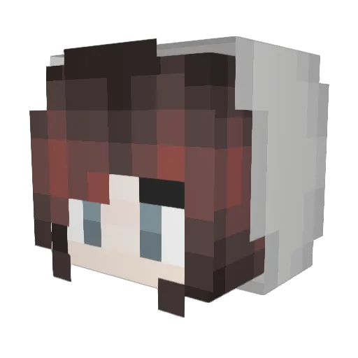 sneksnek Minecraft avatar head, 3D render