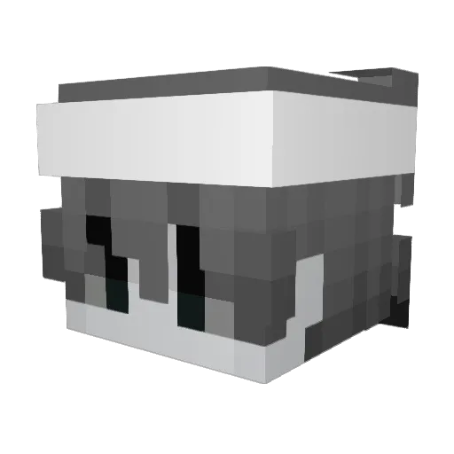 snekzy_ Minecraft avatar head, 3D render